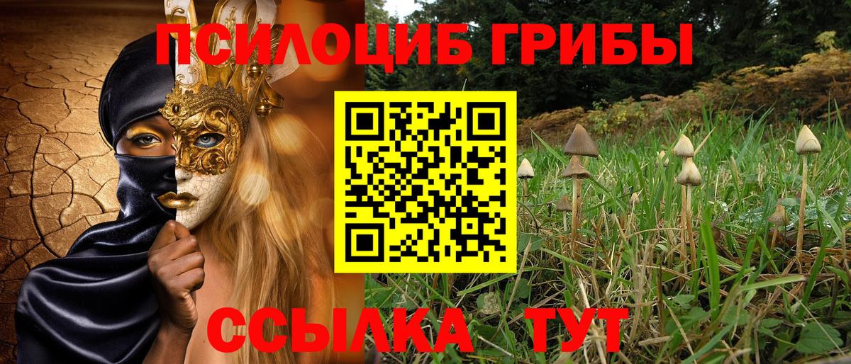 Кыштым  Псилоцибиновые грибы GOLDEN TEACHER  Вход с VPN 